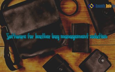 SAP b1 company in Chennai