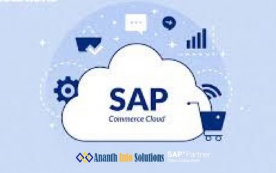 SAP business one company in Chennai