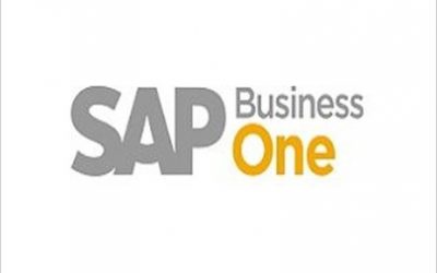 SAP Business 1 partner