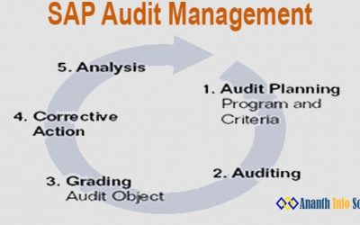 SAP business one partners in chennai